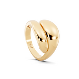 Double Curve Ring
