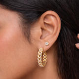 Curb Chain Hoop Earrings