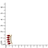 Ruby Crest Ear Climber