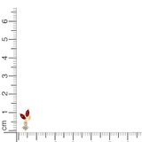 Ruby Marquise Drop Studs