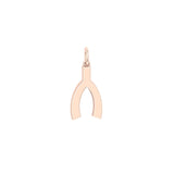 Solid Gold Wishbone Charm