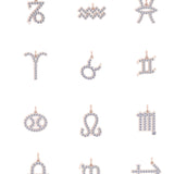 Solid Gold Zodiac Sign Charm